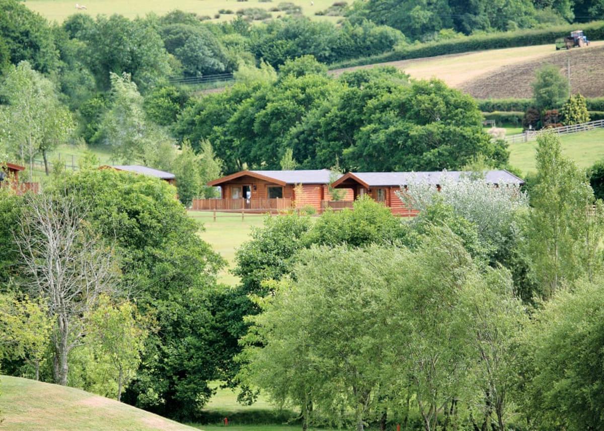 Fingle Glen Lodges Whitestone Bagian luar foto